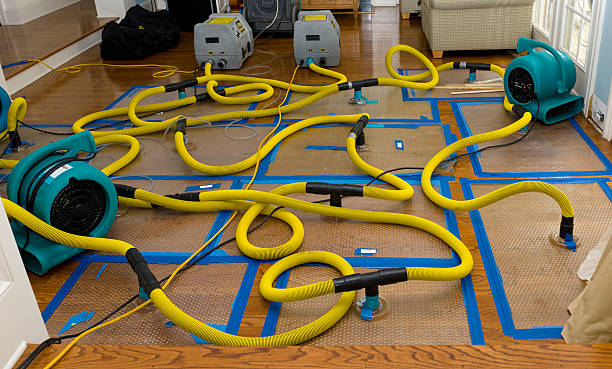 Carpet water damage restoration in Prescott, WI
