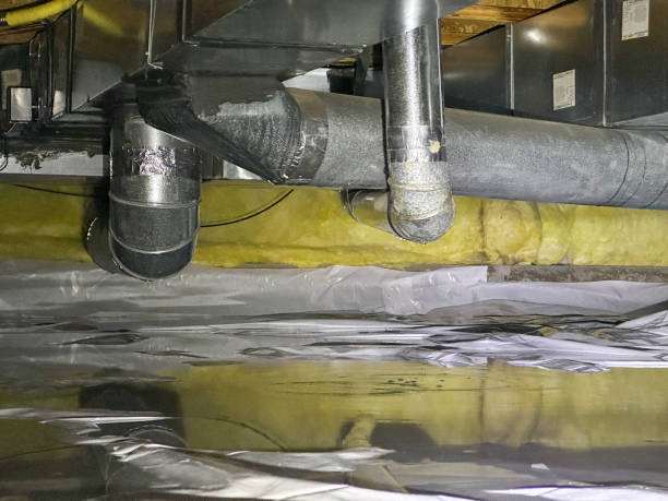 Best Water damage restoration near me  in Prescott, WI